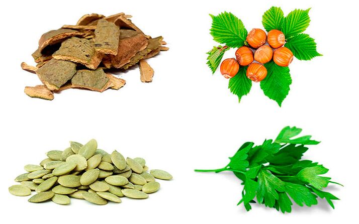 Remédios populares para combater a prostatite - casca de álamo tremedor, sementes de abóbora, salsa e avelãs